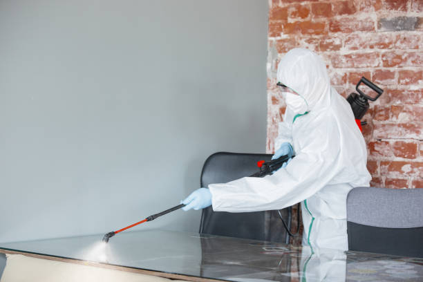 Why You Should Choose Our Mold Remediation Services in Warwick, RI